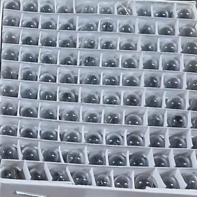 آریایی ریز - سوزنی (پشت آمپر)